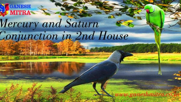 Mercury & Saturn conjunction in 2nd house