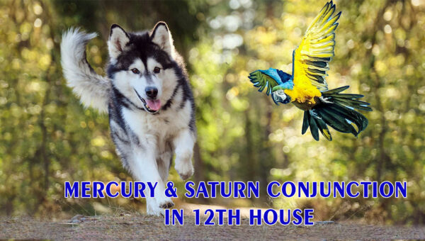 Mercury & Saturn conjunction in 12th house