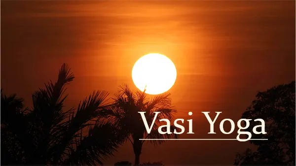 Vasi Yoga